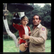 OJ-Simpson-the-Boxer-A-Heartwarming-Tale-for-the-Whole-Family
