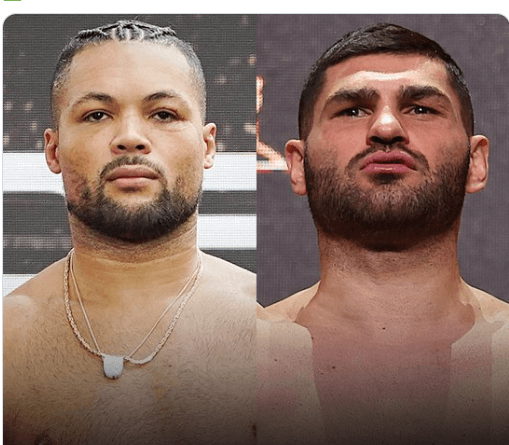 Avila-Perspective-Chap-320-Women's-Boxing-Hall-of-Fame-Heavyweights-and-More