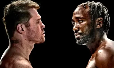 Avila Perspective Chap 343 Four Legends in Action on a Golden Boxing Weekend.jpg